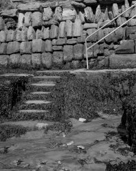 LF01-0099 Whitby Steps 3 resized A3 sharpened.jpg