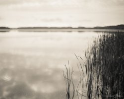 20160912_TMAX100_SpeedGraphic_0000075-PS.jpg