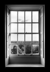 cusworth hall window.jpg