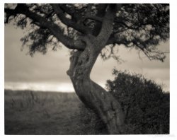 20160917_TMAX100_SpeedGraphic_0000091-PS.jpg 20160917_TMAX100_SpeedGraphic_0000091-PS.jpg
