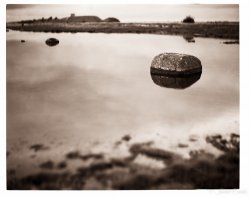 20160917_TMAX100_SpeedGraphic_0000084-PS.jpg