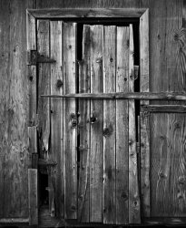 ShedDoor.jpg ShedDoor.jpg