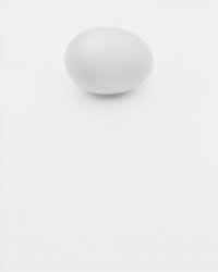 Egg-on-White.jpg