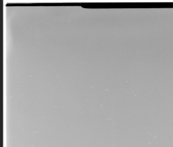 Screen Shot 2017-04-02 at 3.05.29 pm.png