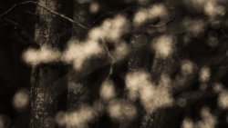 20170409_-2-2.jpg