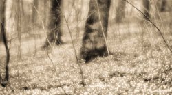 20170503_00001.jpg