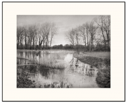 Cusworth-Lower-Pond.png