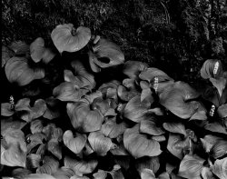 near the end #2.jpg near the end #2.jpg