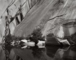 DummerstonQuarry.jpg