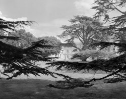 Osborne House1.jpg Osborne House1.jpg