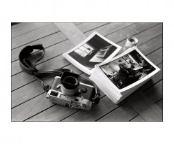 mp-photos.jpg