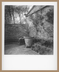 cusworth-garden-MG-Pearl.jpg