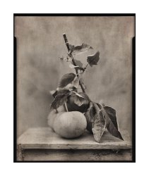 Apples_KodaLith.jpg Apples_KodaLith.jpg