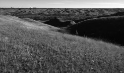 Looking East across the coulee2.jpg