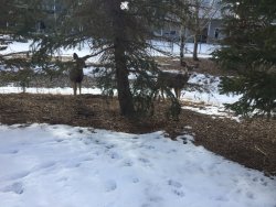 IMG_1523.JPG