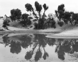 Image (201)d copy.jpg