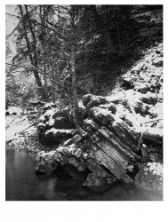gauchach 6-12-20.jpeg
