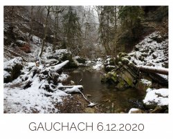 gauchach 6-12-2029.jpeg