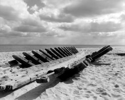 wash ashore.jpg