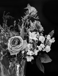 2020.12.27 large vase .jpg