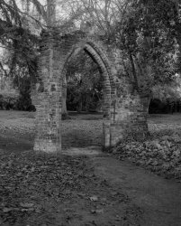 Gothic Arch-970w.jpg