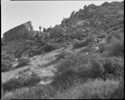 img026.jpg