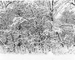 Let_It_Snow.jpg
