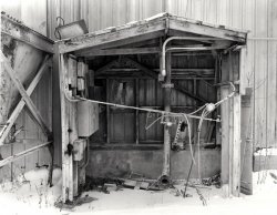 3Negs-EMA-Print-Sm-1.jpg