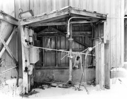 3Negs-Semistand-Print.jpg