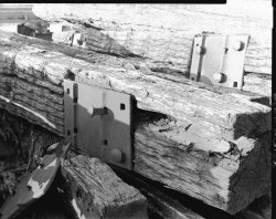Woodpile-EMA.jpg