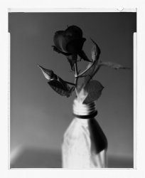 FomaPan D23 7 Minutes.jpg