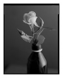FomaPan D23 7 Minutes Positive.jpg
