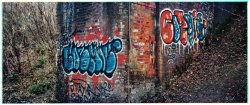 Grafitti-Art 7x17 Resize.jpg