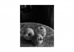apples foma 100 2.jpg