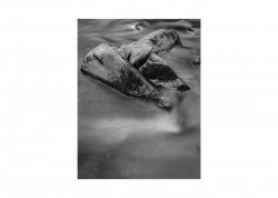 haslach gutach 4x5 1.jpg