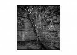 Gauchach Zenza Acros 100 4.jpg