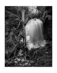 2021-12-9 Hareshaw Linn, Intrepid 4x5, Fomapan 100, EI50, HC110 Dil H n-1, 001.jpg 2021-12-9 Hareshaw Linn, Intrepid 4x5, Fomapan 100, EI50, HC110 Dil H n-1, 001.jpg