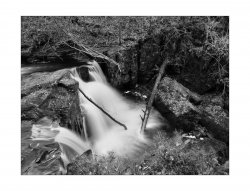 2021-12-9 Hareshaw Linn, Intrepid 4x5, Fomapan 100, EI50, HC110 Dil H n-1, 003.jpg 2021-12-9 Hareshaw Linn, Intrepid 4x5, Fomapan 100, EI50, HC110 Dil H n-1, 003.jpg
