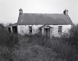 img506-copy-tp.jpg