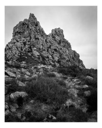 201 (4 of 6)-2.jpg