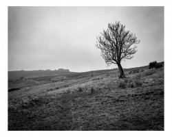 201 (2 of 3)-1.jpg