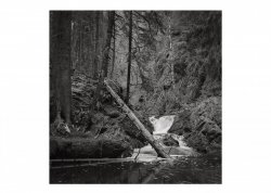 Rötenbachschlucht sw.jpg