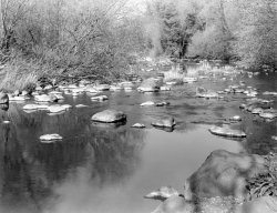 DSC09349-2.jpg