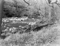 DSC09348-1.jpg