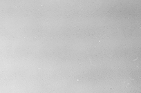 1655561484829.png