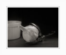 Garlic Still Life Ilford FP4.jpg