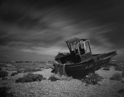 dungeness .jpg dungeness .jpg