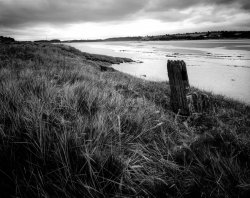 received_899403781472522.jpeg