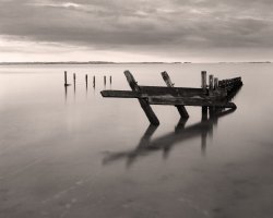 seasalter groyne.jpg