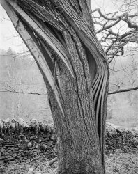 Rydal 1.jpg